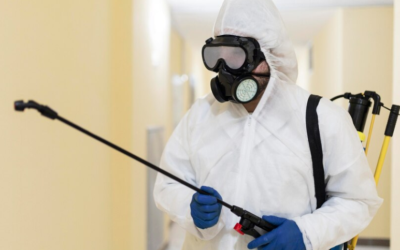 Organic Pest Control Las Vegas