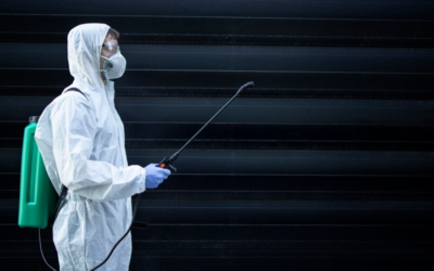 Pest Control North Las Vegas