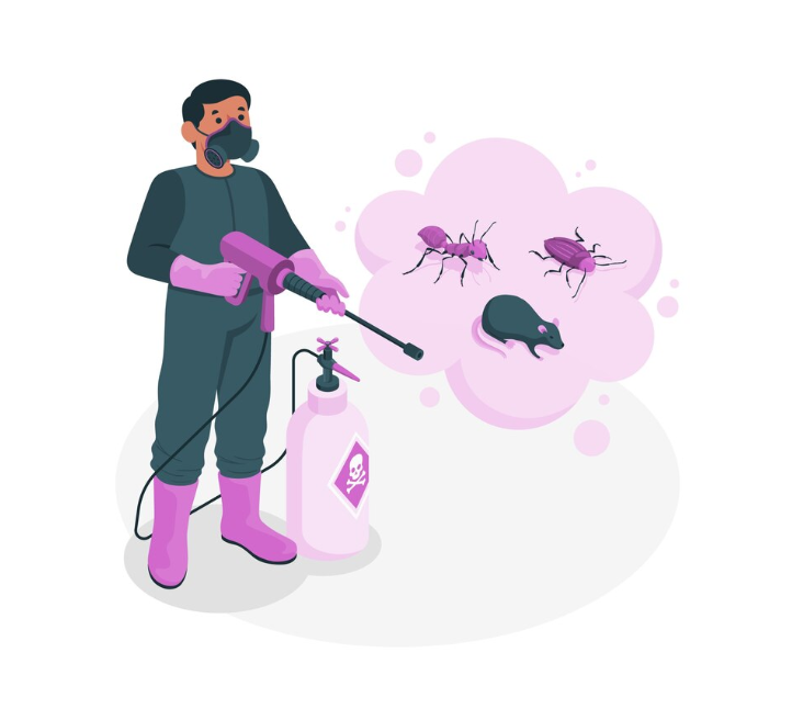 ant control in Las Vegas